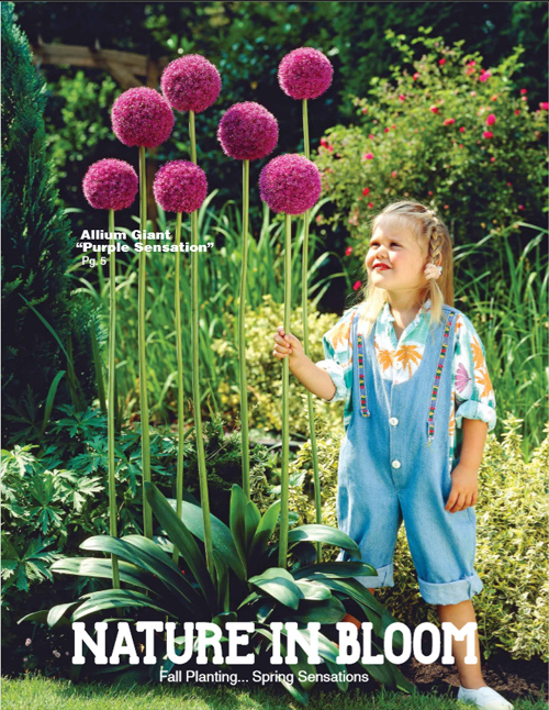 Bulbs For Change Flower bulb Fundraising for Spring and Fall