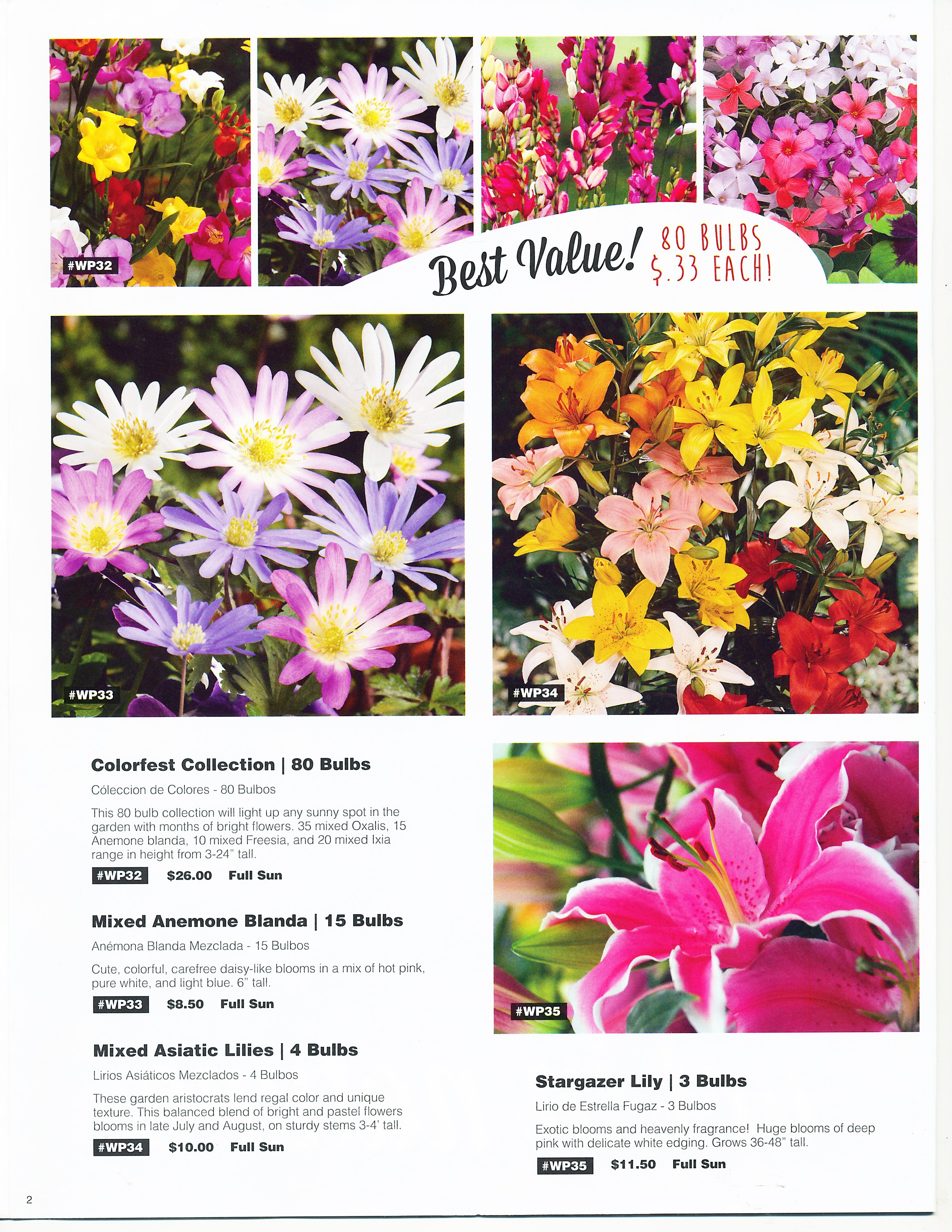 Bulbs For Change Flower bulb Fundraising for Spring and Fall