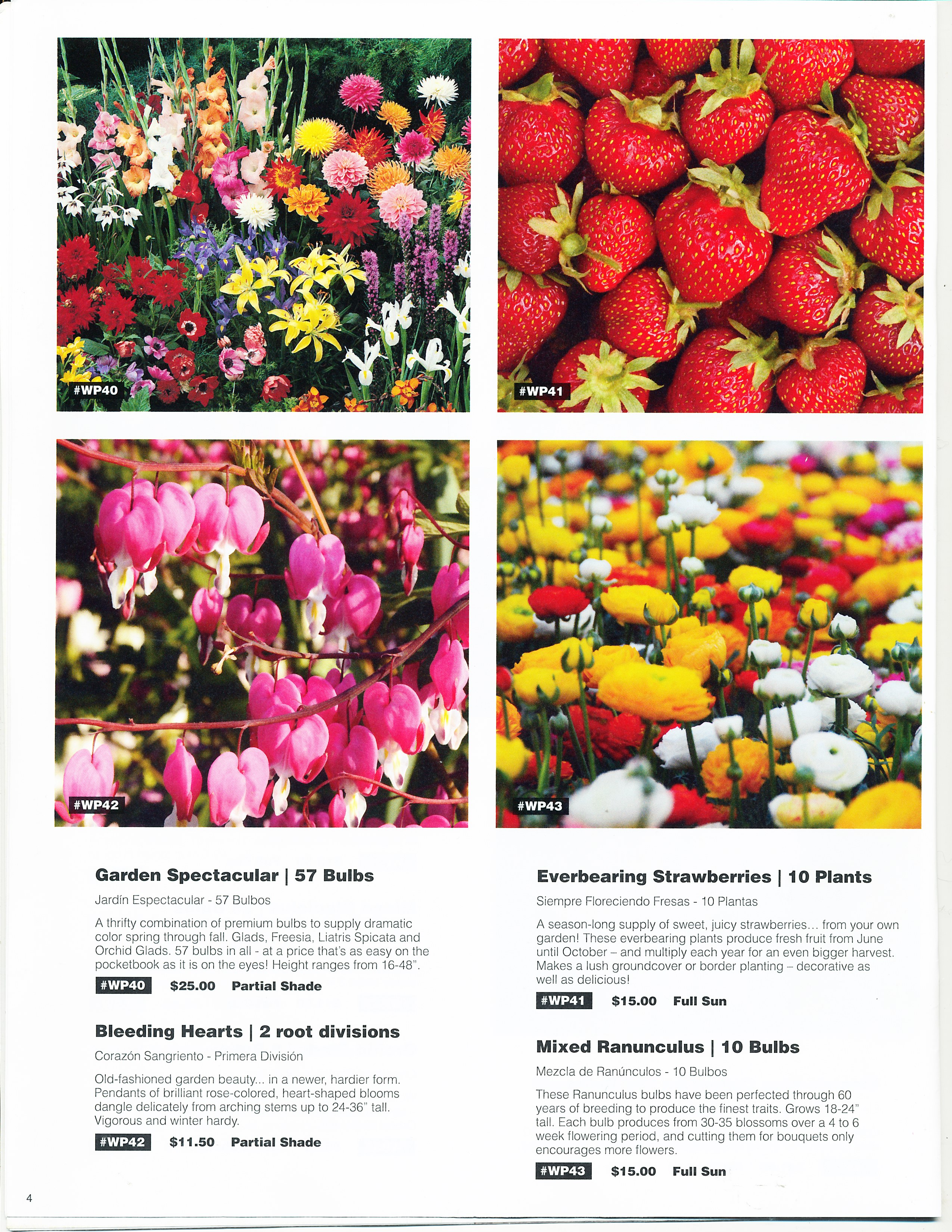 Bulbs For Change Flower bulb Fundraising for Spring and Fall